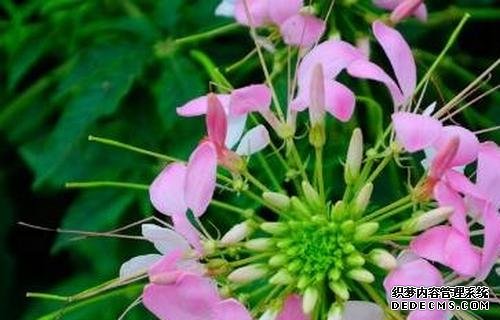 摩登3官网注册,摩登3平台登录