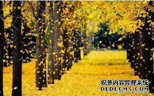 摩登3注册联系,摩登3代理工资如何
