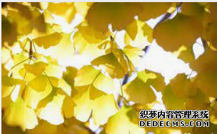 摩登3注册联系,摩登3代理工资如何