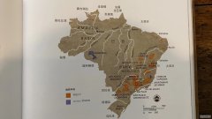<b>摩登3注册如何提高春季银杏苗木补植成活率</b>