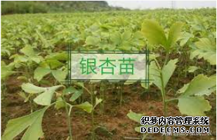 摩登3如何注册,摩登3网页登录地址