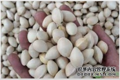 <b>摩登3注册登录白果，您知道多少？</b>