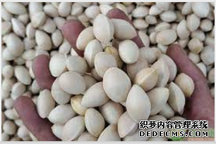摩登3娱乐api接口,摩登3招商总代理