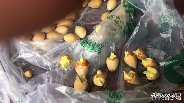 摩登3招商总代理,摩登3招商主管