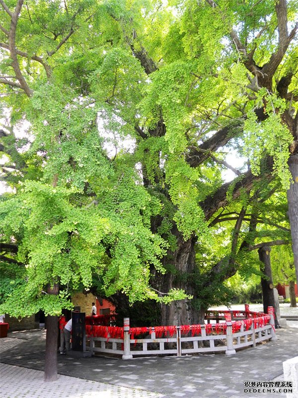 摩登3信誉吗,摩登3娱乐