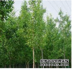 摩登3官网注册,摩登3平台登录