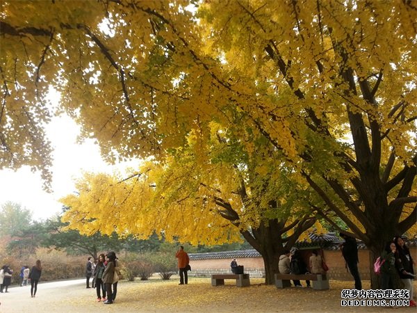摩登3官网注册,摩登3平台登录