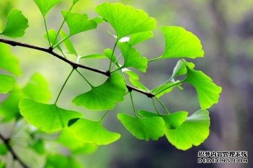 摩登3娱乐登录平台app,摩登3娱乐下载中心