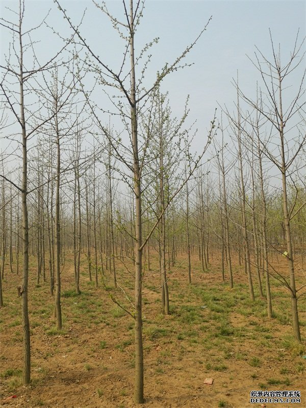 摩登3娱乐智能家居,摩登3平台登录