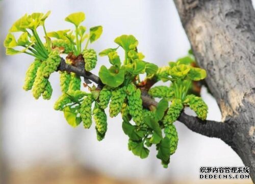 摩登3平台已注册入口,摩登3注册链接