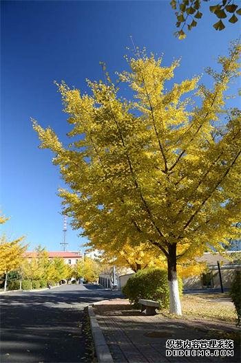 摩登3平台已注册入口,摩登3注册链接