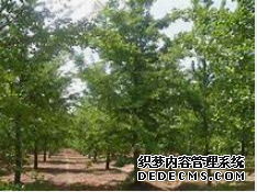 摩登3娱乐,摩登3代理