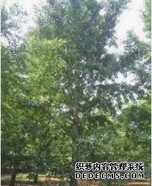 摩登3娱乐,摩登3代理