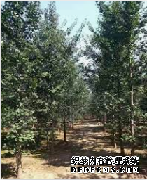 摩登3平台登录,摩登3官网注册