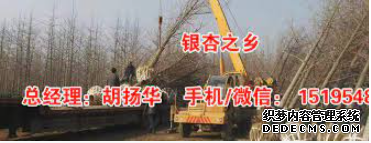 摩登3官网注册,摩登3平台登录
