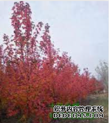 摩登3平台登录,摩登3平台注册
