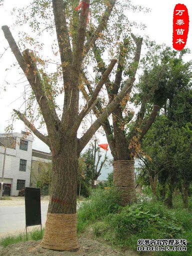 摩登3平台已注册入口,摩登3注册链接