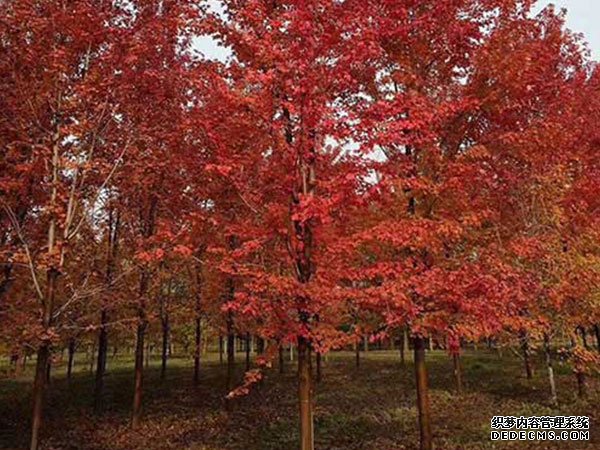 摩登3娱乐智能家居,摩登3平台登录