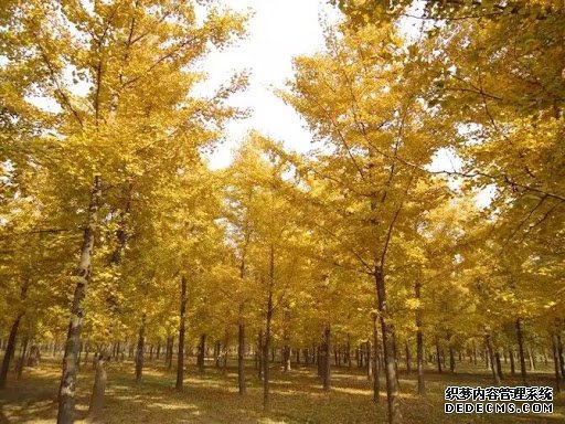 摩登3娱乐智能家居,摩登3平台登录