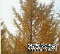 摩登3娱乐智能家居,摩登3平台登录