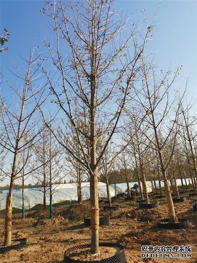 摩登3平台已注册入口,摩登3注册链接