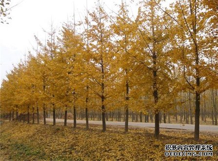 摩登3官网注册,摩登3平台登录