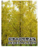摩登3到底靠谱吗,摩登3是不是老公司