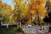 摩登3叉车代理,怎么代理摩登3