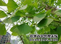 摩登3叉车代理,怎么代理摩登3